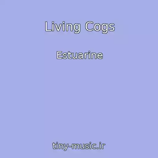کاور آهنگ Living Cogs از Estuarine