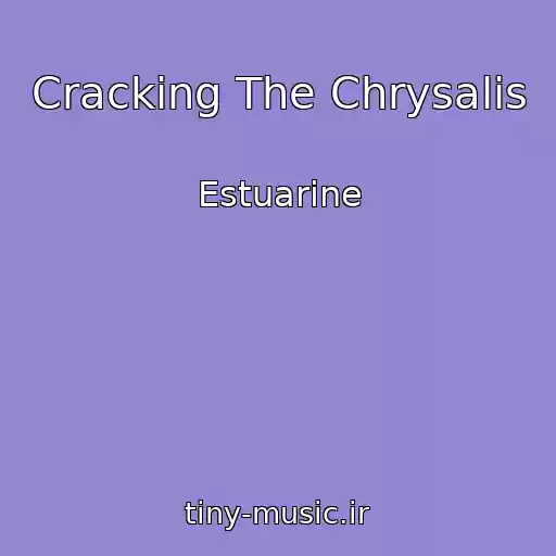 کاور آهنگ Cracking The Chrysalis از Estuarine