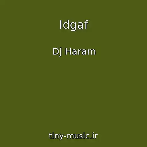 کاور آهنگ Idgaf از Dj Haram