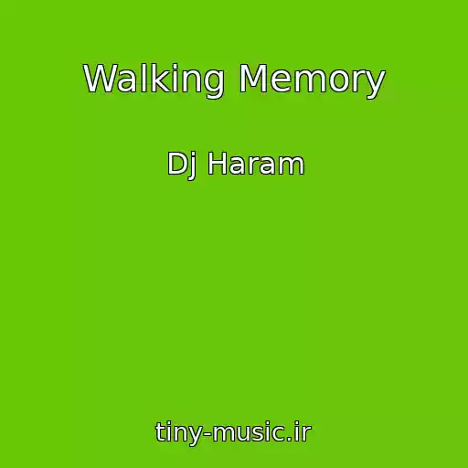 کاور آهنگ Walking Memory از Dj Haram