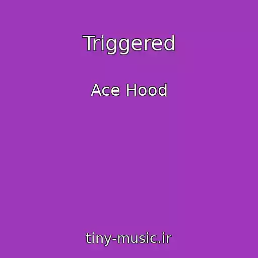 کاور آهنگ Triggered از Ace Hood