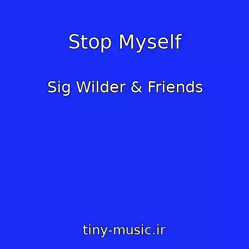کاور آهنگ Stop Myself از Sig Wilder & Friends