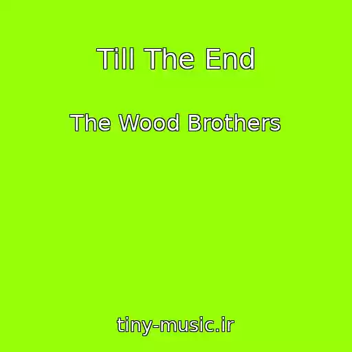 کاور آهنگ Till The End از The Wood Brothers