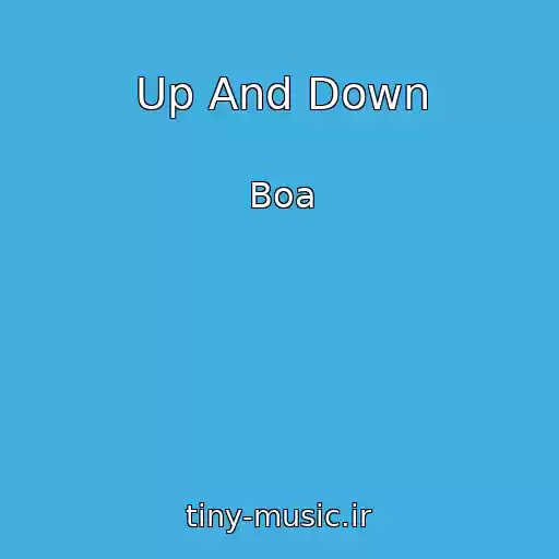 کاور آهنگ Up And Down از Boa