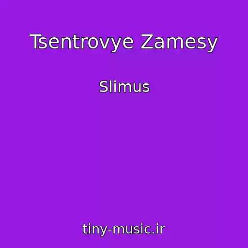 کاور آهنگ Tsentrovye Zamesy از Slimus