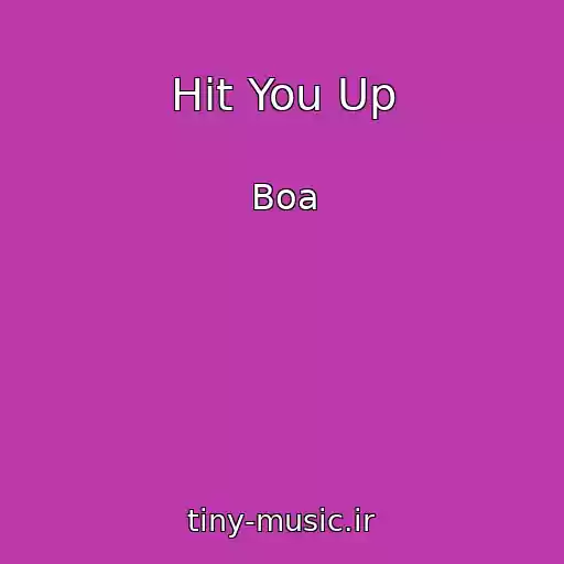 کاور آهنگ Hit You Up از Boa