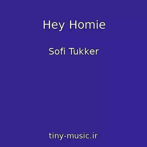 کاور آهنگ Hey Homie از Sofi Tukker