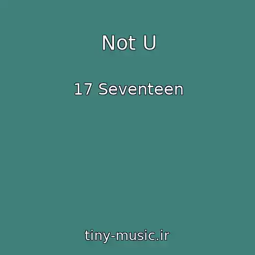 کاور آهنگ Not U از 17 Seventeen