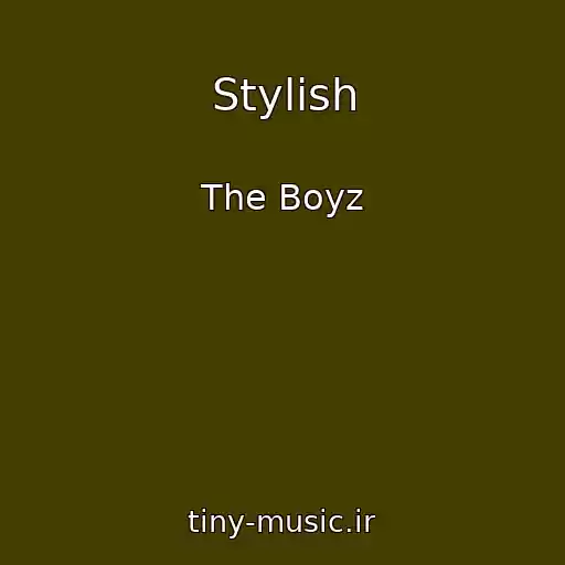 کاور آهنگ Stylish از The Boyz