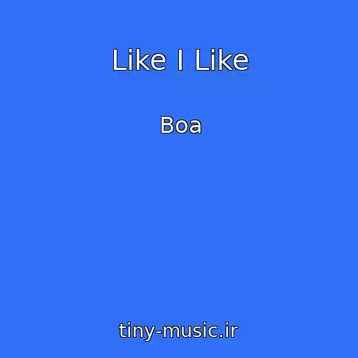 کاور آهنگ Like I Like از Boa