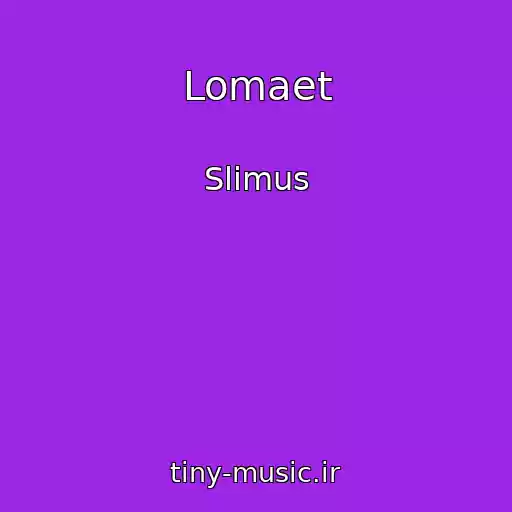 کاور آهنگ Lomaet از Slimus