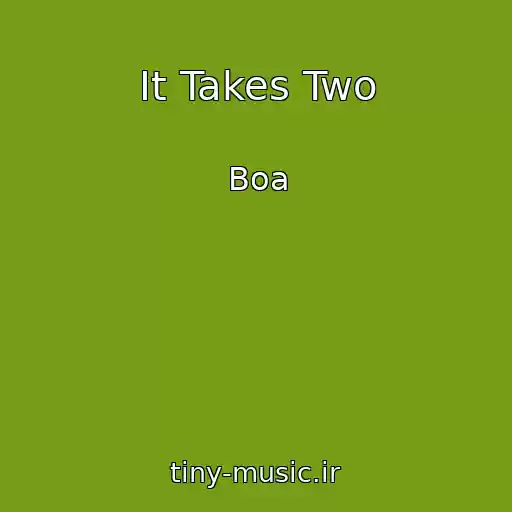 کاور آهنگ It Takes Two از Boa