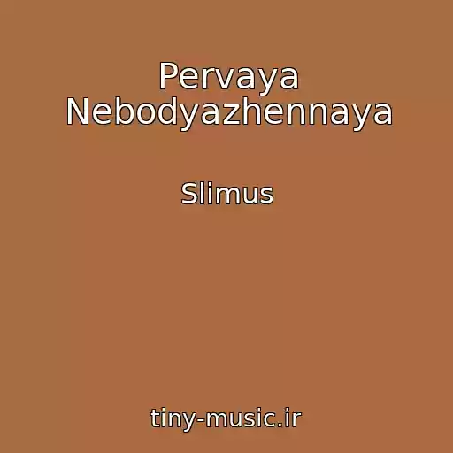 کاور آهنگ Pervaya Nebodyazhennaya از Slimus
