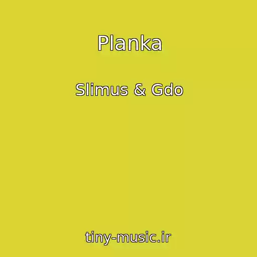 کاور آهنگ Planka از Slimus & Gdo