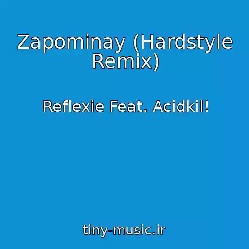 کاور آهنگ Zapominay (Hardstyle Remix) از Reflexie Feat. Acidkil!