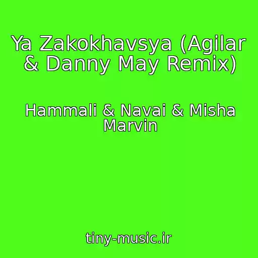 کاور آهنگ Ya Zakokhavsya (Agilar & Danny May Remix) از Hammali & Navai & Misha Marvin