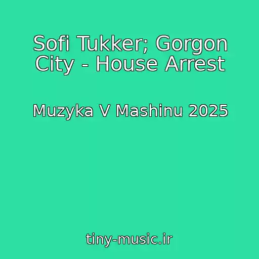 کاور آهنگ Sofi Tukker; Gorgon City - House Arrest از Muzyka V Mashinu 2025