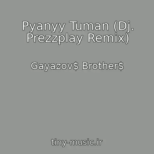 کاور آهنگ Pyanyy Tuman (Dj. Prezzplay Remix) از Gayazov$ Brother$