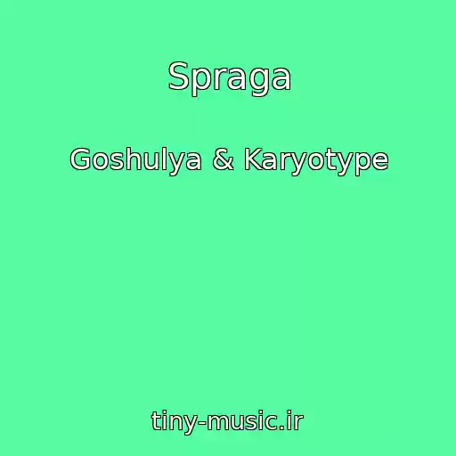 کاور آهنگ Spraga از Goshulya & Karyotype