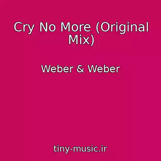 کاور آهنگ Cry No More (Original Mix) از Weber & Weber