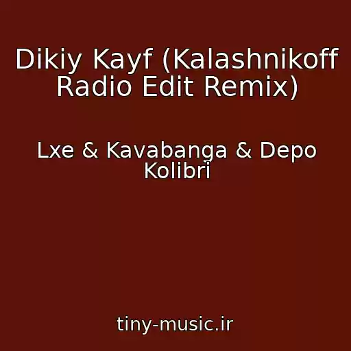 کاور آهنگ Dikiy Kayf (Kalashnikoff Radio Edit Remix) از Lxe & Kavabanga & Depo Kolibri