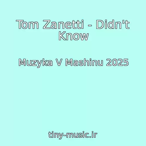 کاور آهنگ Tom Zanetti - Didn't Know از Muzyka V Mashinu 2025