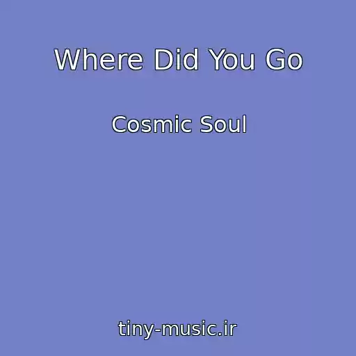 کاور آهنگ Where Did You Go از Cosmic Soul