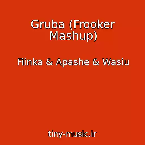 کاور آهنگ Gruba (Frooker Mashup) از Fiinka & Apashe & Wasiu
