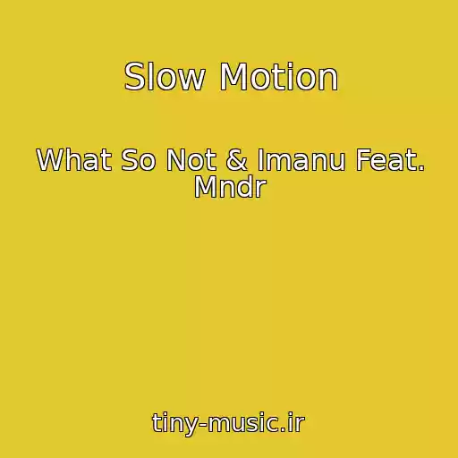 کاور آهنگ Slow Motion از What So Not & Imanu Feat. Mndr