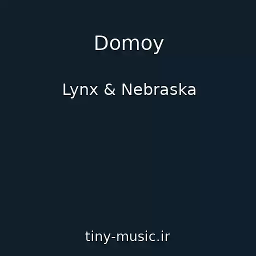 کاور آهنگ Domoy از Lynx & Nebraska