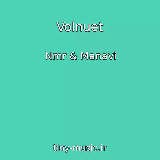 کاور آهنگ Volnuet از Nmr & Manavi