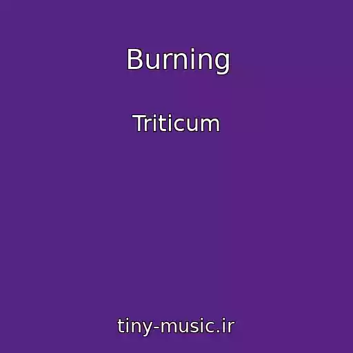 کاور آهنگ Burning از Triticum