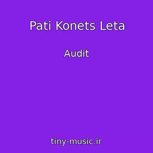 کاور آهنگ Pati Konets Leta از Audit