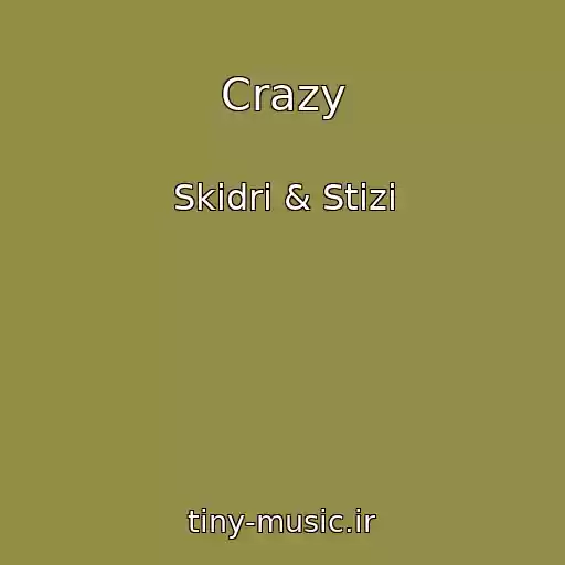 کاور آهنگ Crazy از Skidri & Stizi