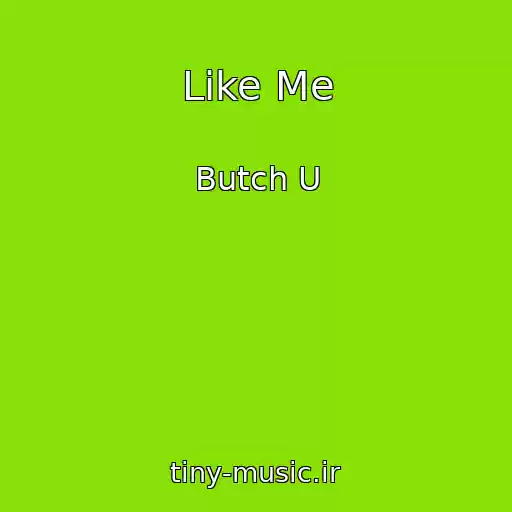 کاور آهنگ Like Me از Butch U