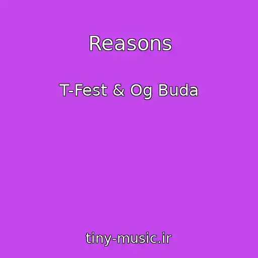 کاور آهنگ Reasons از T-Fest & Og Buda