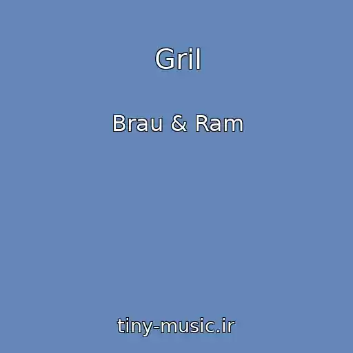 کاور آهنگ Gril از Brau & Ram