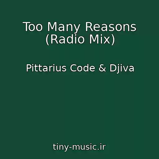کاور آهنگ Too Many Reasons (Radio Mix) از Pittarius Code & Djiva