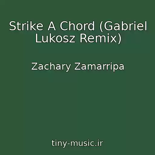کاور آهنگ Strike A Chord (Gabriel Lukosz Remix) از Zachary Zamarripa