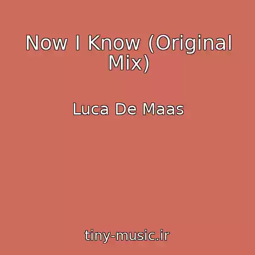 کاور آهنگ Now I Know (Original Mix) از Luca De Maas