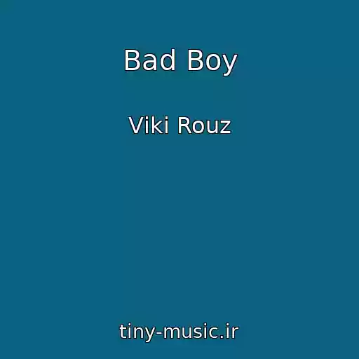 کاور آهنگ Bad Boy از Vіkі Rouz