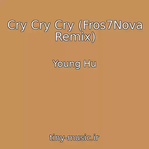 کاور آهنگ Cry Cry Cry (Fros7Nova Remix) از Young Hu