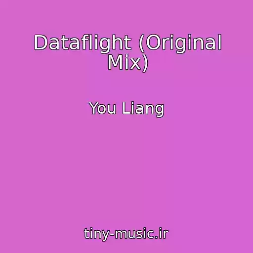 کاور آهنگ Dataflight (Original Mix) از You Liang