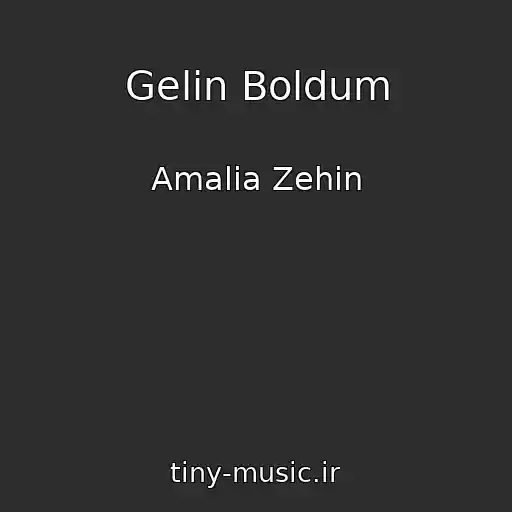 کاور آهنگ Gelin Boldum از Amalia Zehin