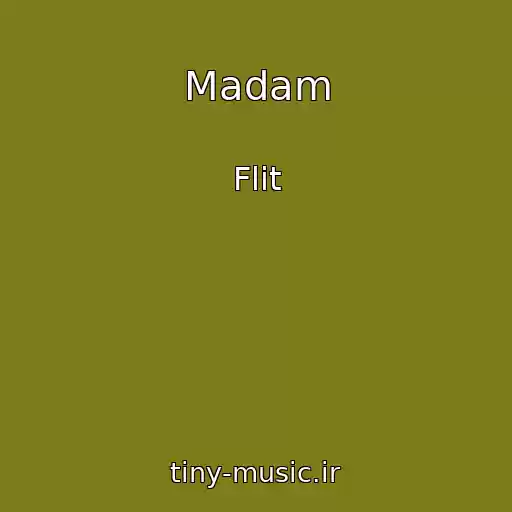 کاور آهنگ Madam از Flit