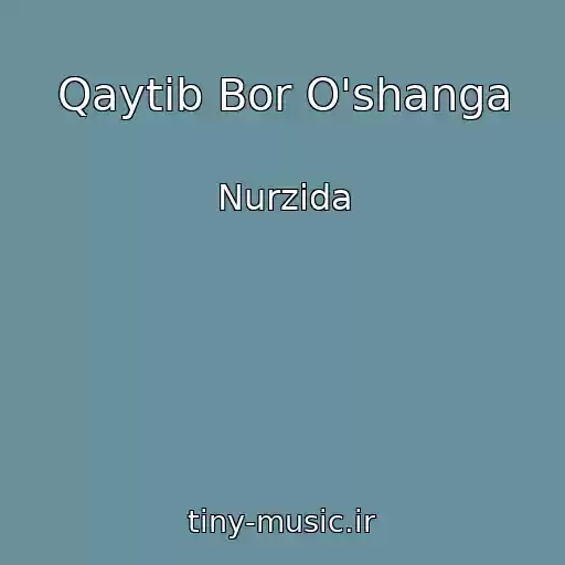 کاور آهنگ Qaytib Bor O'shanga از Nurzida