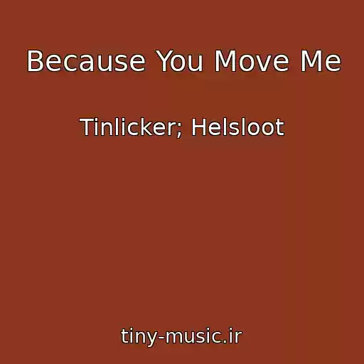 کاور آهنگ Because You Move Me از Tinlicker; Helsloot