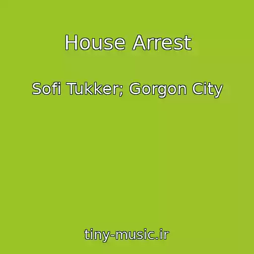 کاور آهنگ House Arrest از Sofi Tukker; Gorgon City