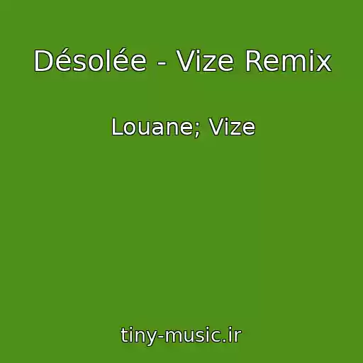 کاور آهنگ Désolée - Vize Remix از Louane; Vize