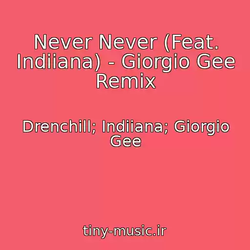 کاور آهنگ Never Never (Feat. Indiiana) - Giorgio Gee Remix از Drenchill; Indiiana; Giorgio Gee